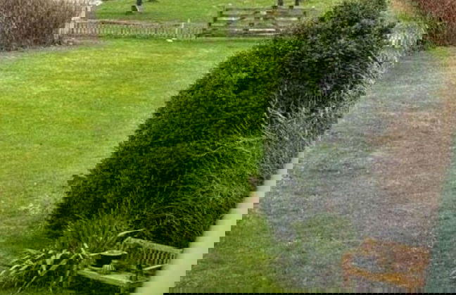 House by the Paddock - Foto 27