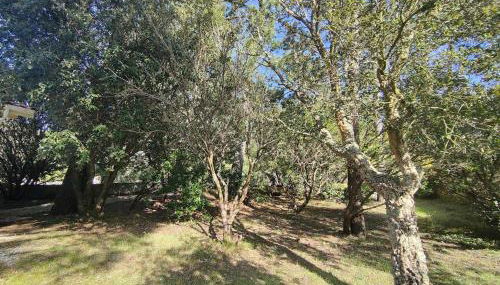 Villa avec jardin clos à Lège-Cap-Ferret, 3 chambres, proche plages - FR-1-736-56 - Foto 4