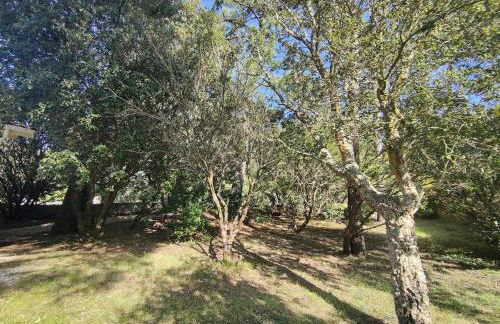 Villa avec jardin clos à Lège-Cap-Ferret, 3 chambres, proche plages - FR-1-736-56 - Foto 4