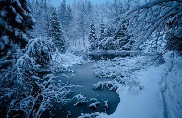 Chalet Des Feignes - Photo 51