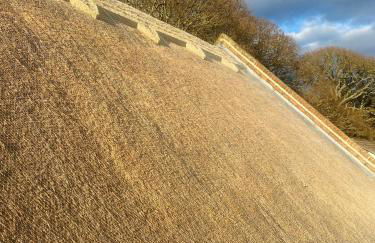 Little Woodside a beautiful New Forest self contained private luxury annexe - Foto 43