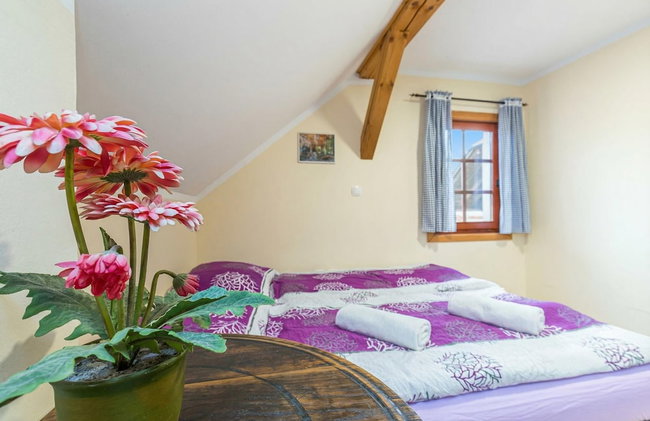 Forge Of Happiness - Foto 18