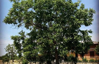 Sala dell Estate Guest House - Foto 79