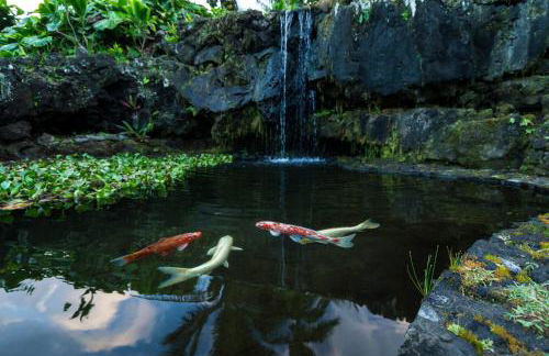 Hana Kai Maui - #201 Honokalani - oceanview 1 BR - Foto 4