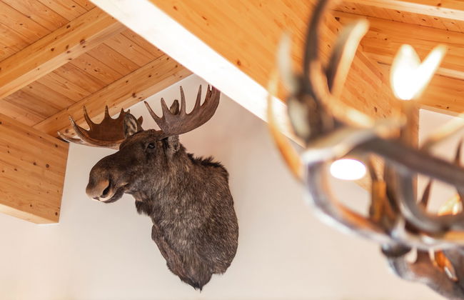 Chalet Dorf Wagrain Alpenleben - Foto 70