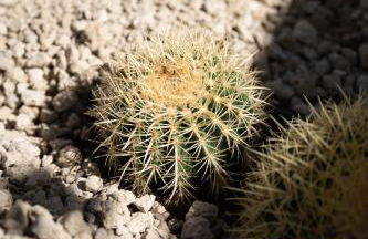 Oasis El Sauzal - Chalet con Piscina y Encanto - Foto 52