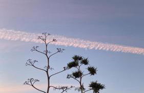 Casa Doris - Foto 35