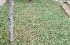 Villa Santo Antonio - Foto 33