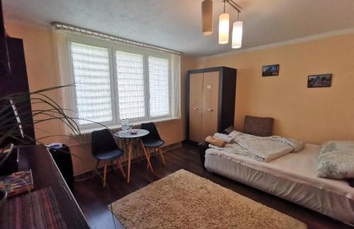 Aparatament PUŁAWY Centrum - Foto 3