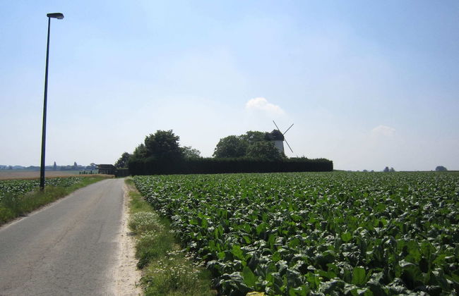 Cozy Holiday Home in Horebeke near Meadow - Photo 25