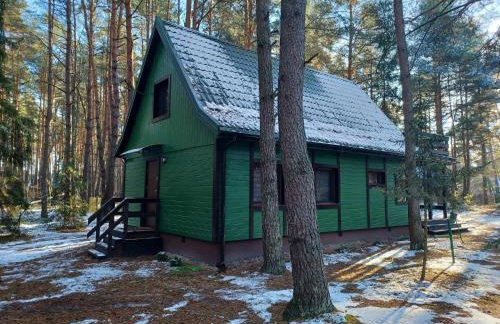 Wilga - klimatyczny domek z 2 tarasami - Foto 35