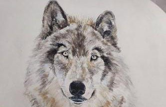 Holiday Home Tor der Berge - Hütte Wolf by Interhome - Foto 4