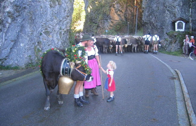 Rubihorn View With Sauna - Photo 12