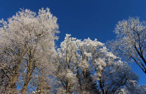 Gästehaus Schloss Kronburg - Foto 18
