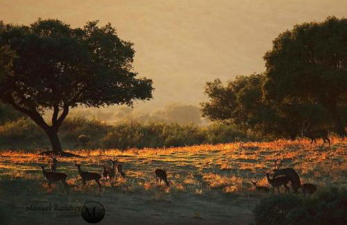 Mirador La Villa de Laura - Foto 55