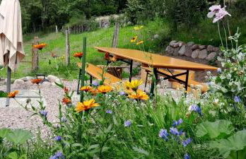 RELAX CHALET Nature Retreat - isolé sur 3 hectares - confort de LUXE - maison entière 150m2 - près de La Bresse - Foto 22