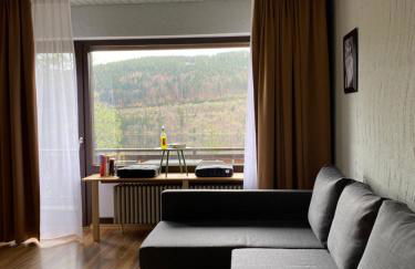 Titisee Haus an der Sonne by Kuckucksnester - Foto 54