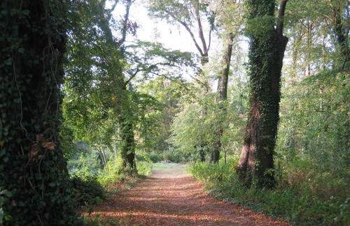 Historic Apartment in Gerdshagen With Garden - Foto 128