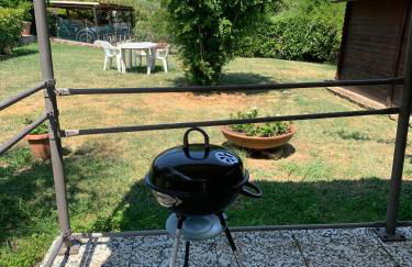 Il gatto e la volpe 1 - Foto 49