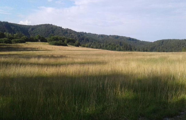 Apartment in Thale by Fishing River - Foto 32