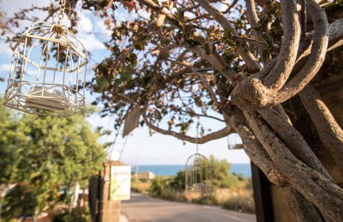 Paradeisos - Foto 38