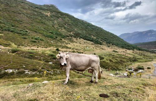 CASA SANTIBAÑEZ DE LA FUENTE - Foto 38
