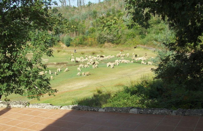 Mansion in Dao Valley by River Beach - Foto 34