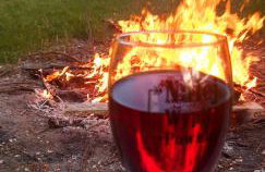 Domek SADKOWO - wśród jabłoni , balia ogrodowa dodatkowo płatna - Photo 22