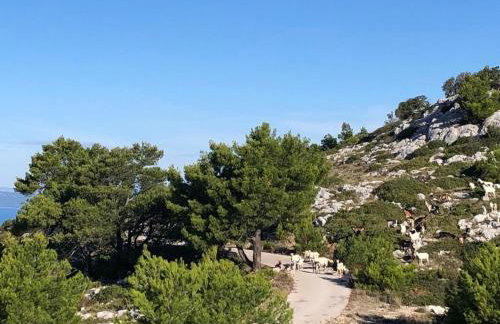 Villa Marisari - Foto 60