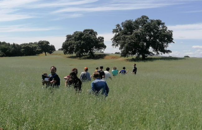 Cortijo Vizconde - Photo 64