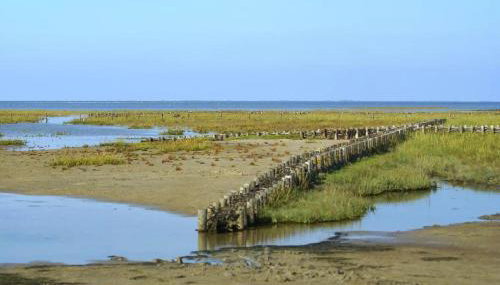 Schäferhof Dircks Fewo 2 - Foto 4