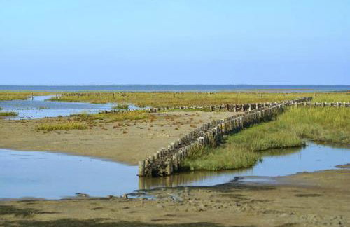 Schäferhof Dircks Fewo 2 - Foto 4