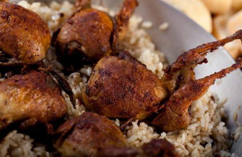 Agriturismo con Cucina tipica Nuova Scardua - Foto 45