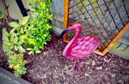 5 Bedroom House - DISC0UNTS - Parking, Contractors, Group, Family - Foto 71