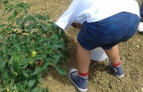 Agriturismo La Ginestrella - Foto 14