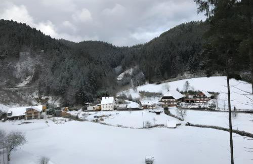 Waldbauernhof - Foto 18