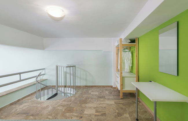 Dodonis BLD - Foto 6