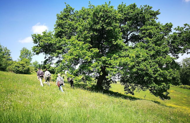 Casa Fluò Relais - Foto 31
