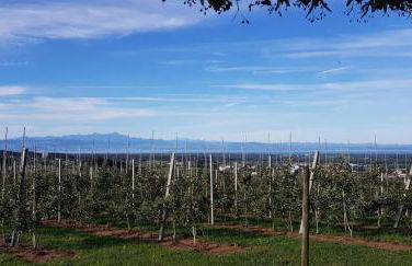 Ferienwohnung Stryck - Foto 21