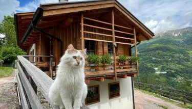 Il nido al Maso Maoro - Foto 3