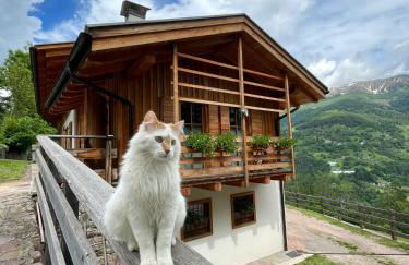 Il nido al Maso Maoro - Foto 3