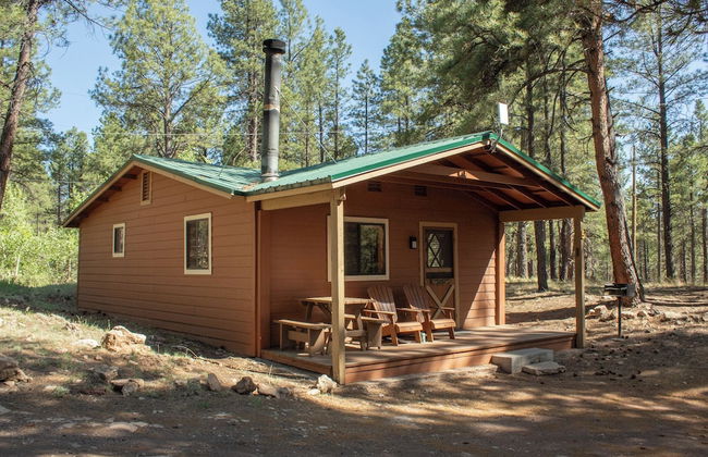 Arizona Mountain Inn and Cabins - Foto 65