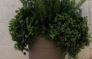 Casa Vacanze Patrizia - Photo 32