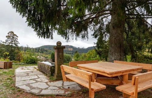 Gîte chaleureux dans les Vosges avec cheminée - FR-1-583-437 - Foto 3