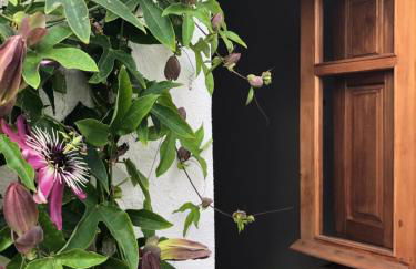 Casa Olivo Maro - Foto 17