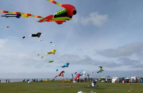 FeWo Villa Butterburg Tomke - Reihenhaus mit Terrasse - Foto 14