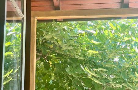 Ideal Cottage Holidays-Ιδανικές Εξοχικές Διακοπές - Foto 21