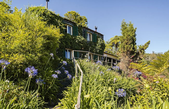 Quinta Devónia III - Nogueira by An Island Apart - Photo 1