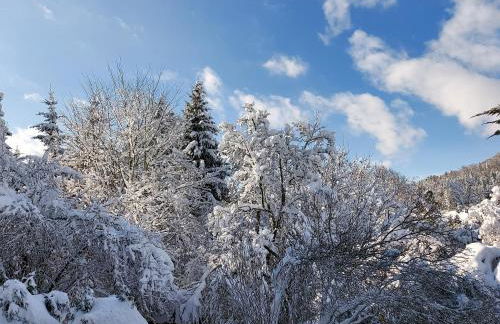 Ferienwohnung Felsenblick - Foto 37