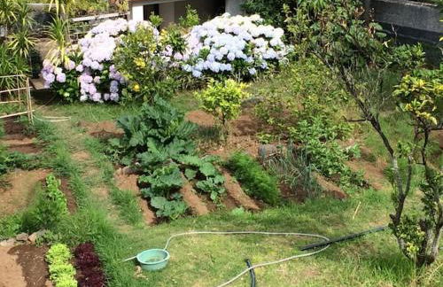 Quinta da Colina - Foto 41